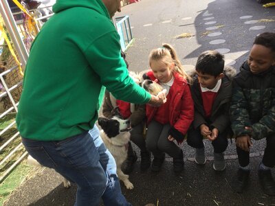 Image of Year 1 (Class 3) - Farm Visit