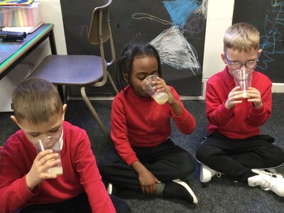 Image of Year 1 (Class 3) - Design Technology - Fruit Smoothies