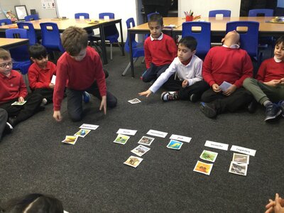 Image of Year 2 (Class 6) - Science - Classifying Animals