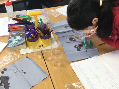 Image of Year 4 (Class 12) - Science - Liquids and Teeth