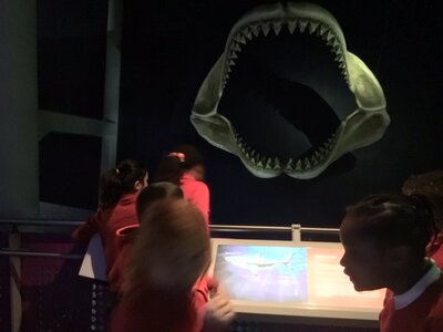 Image of Year 6 (Class 17) - Science - Trip to The Deep