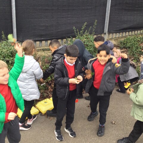 Image of Year 1 (Class 3) - Science - Trees