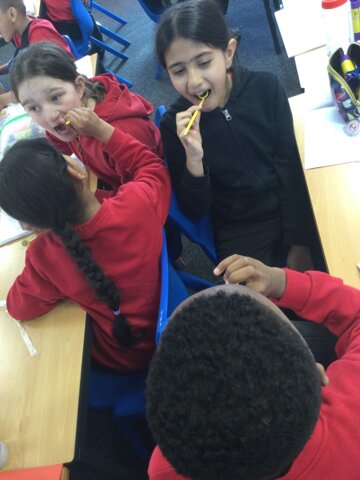 Image of Year 4 (Class 12) - Science - Dental Mirrors